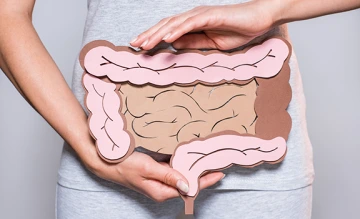 woman holding model of intestinal track