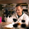 Zach Compton adds a solution to a tube using a pipette. He is wearing black gloves and has a white lab coat.